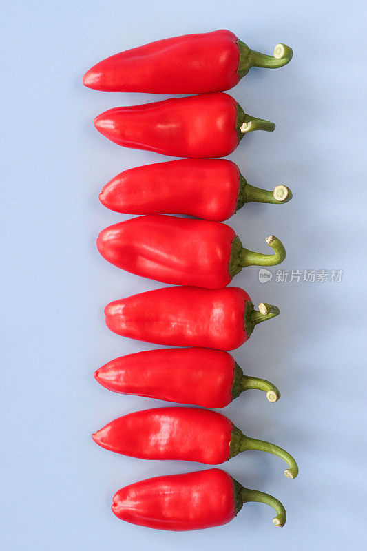 一排红色迷你辣椒(Capsicum annuum)的特写图像，蓝色背景，高架视图，复制空间